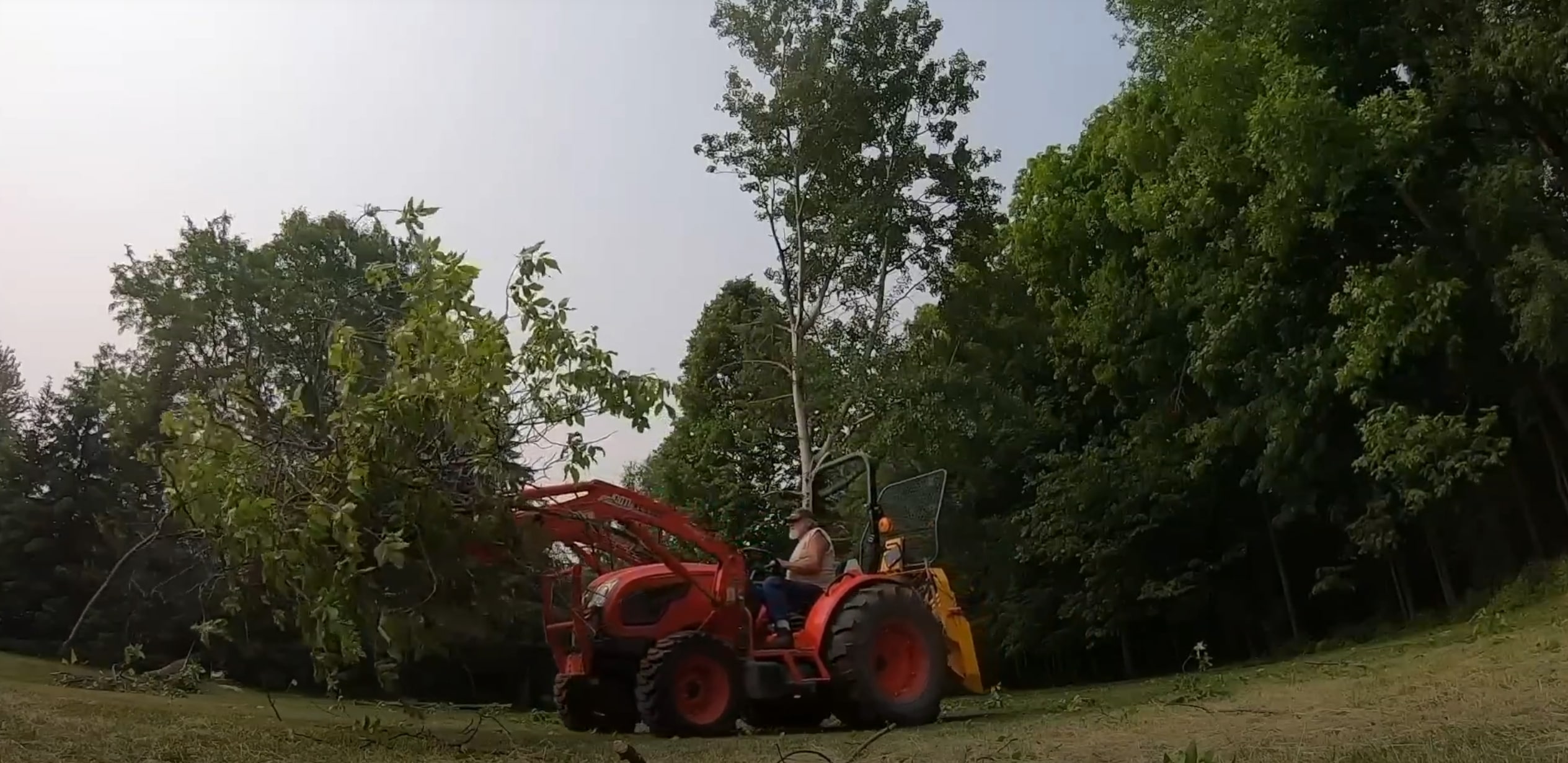 Land & Lot Clearing service in Daly City, CA