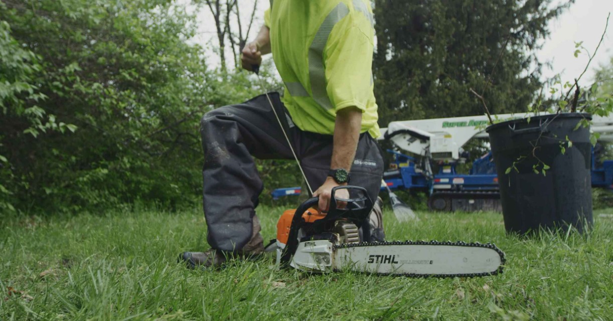 Stump Grinding & Removal service in Daly City, CA